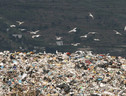 Dall'Ue arriva la stretta sull'export dei rifiuti verso i Paesi terzi (ANSA)