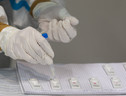 Test per la ricerca degli anticorpi anti Covid  (fonte: Wikimedia) (ANSA)