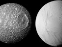Mimas, la più interna luna di Saturno, nasconderebbe un oceano interno  (fonte: NASA/JPL-Caltech/Space Science Institute) (ANSA)