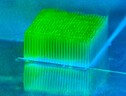 Colonie di batteri crescono in mini-grattacieli stmpati in 3D per produrre energia pulita (fonte: Gabriella Bocchetti) (ANSA)