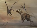 Ricostruzione artistica del più grande pterosauro del Giurassico (fonte: Stewart Attwood / Artist's impression credit: Natalia Jagielska) (ANSA)