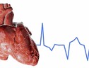 Protoni e IA per ‘spegnere’ le aritmie cardiache (fonte: EbaMed) (ANSA)