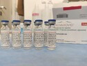 Covid: Novavax, Ema approva vaccino per 12-17 anni (ANSA)