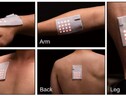 La nuova pelle elettronica è come un cerotto e può essere applicata su varie parti del corpo (fonte: © Li, D. et al.) (ANSA)