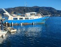 Via libera dall'esecutivo europeo a 600 milioni di aiuti all'Italia per pesca e acquacoltura (ANSA)