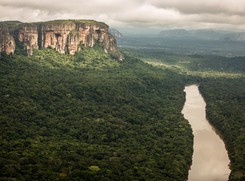 Amazzonia, Intelligenza Artificiale contro la deforestazione (ANSA)