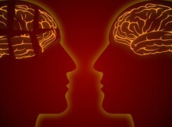 Il cervello dei super-anziani presenta neuroni più grandi (fonte: Pixabay) (ANSA)