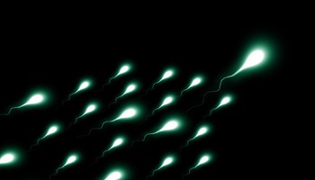 Rappresentazione artistica di spermatozoi (fonte: Gerd Altmann da Pixabay) (ANSA)