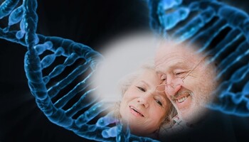 Nel Dna il segreto per invecchiare in buona salute (fonti: immagine del Dna di Pixabay, anziani di SHVETS production) (ANSA)