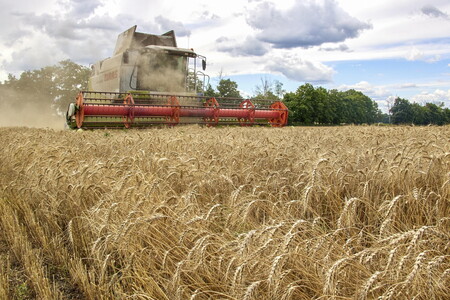 A giugno salgono l'export Ue di grano in Africa e gli scambi con Ucraina