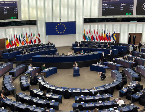 L'aula del Parlamento europeo a Strasburgo (ANSA)