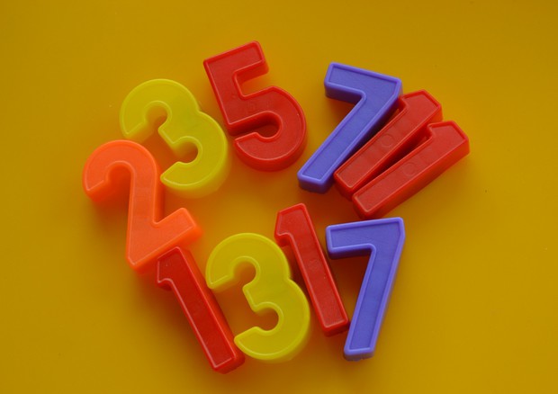 I numeri primi sono i mattoni della matematica (fonte: Monica Nardone) © Ansa