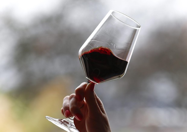 Regioni italiane unite in Ue contro l'etichetta sul vino © ANSA