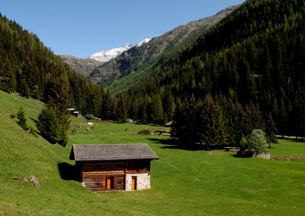 Delegazione Europarlamento visiterà Trentino-Alto Adige © ANSA