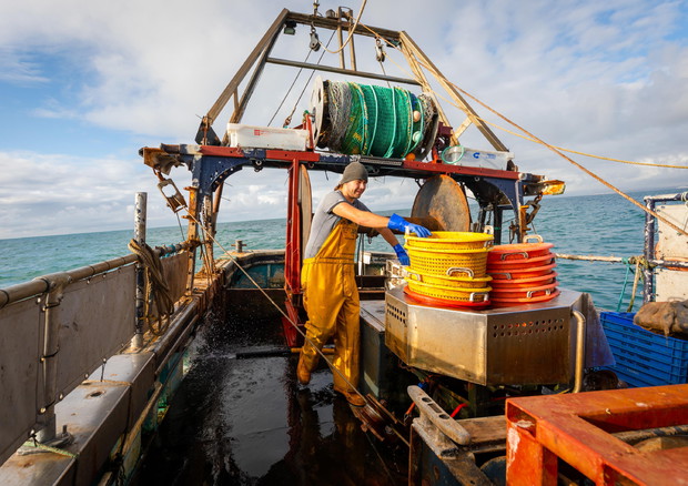 Pesca: perse 600mila giornate lavoro in 2020, aiuti a rischio © ANSA