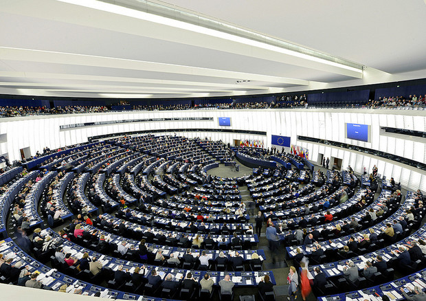 Sessione Plenaria del Parlamento europeo a Strasburgo © Ansa
