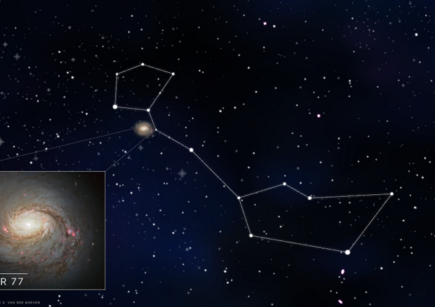 Rappresentazione artistica della galassia Messier 77 (fonte: Jack Pairin, IceCube/NSF) © Ansa