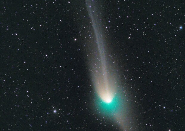 Particolare della cometa C/2022 E3 (ZTF) , fotografata il 25 gennaio da Michael Jager (fonte: Michael Jager) © Ansa