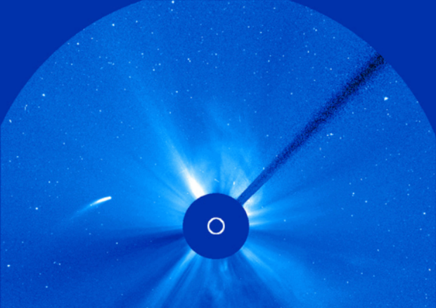 L'avvicinamento al Sole della cometa 96P/Machholz ripreso dal telescopio spaziale Soho (fonte: SOHO) © Ansa