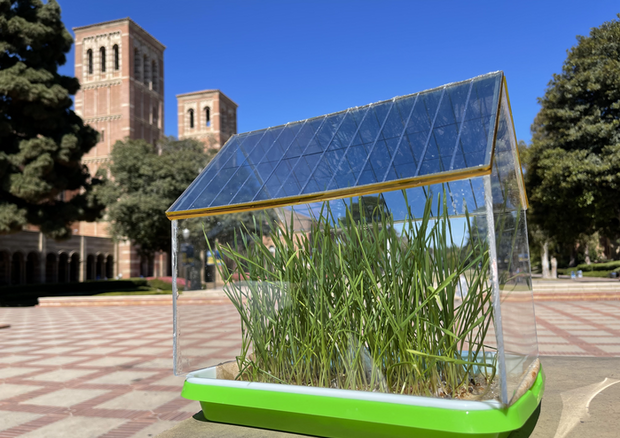 Un prototipo di serra in miniatura con il tetto costruito con celle solari semitrasparenti che ha portato a una migliore crescita delle piante rispetto a una serra tradizionale. Credit: Yang Yang Laboratory/UCLA © Ansa