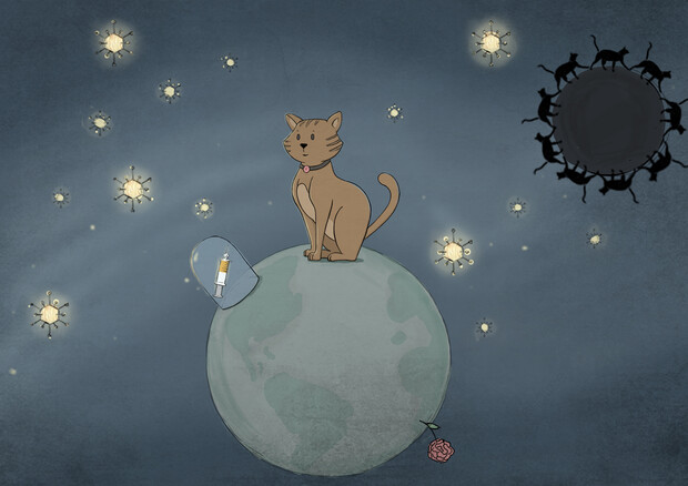 Il contraccettivo per gatte in un’illustrazione ispirata al Piccolo Principe (fonte: Lydia Pépin) (ANSA)