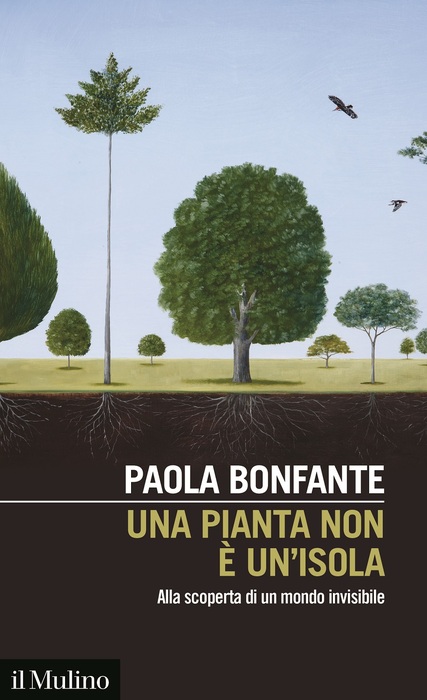 ‘Una pianta non è un’isola. Alla scoperta di un mondo invisibile”, di Paola Bonfante (il Mulino, 212 pagine, 15 euro) © Ansa