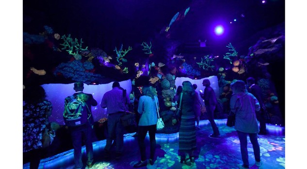 Encounter New York Photo by Diane Bondareff/Invision for National Geographic Encounter/AP Images
