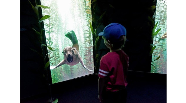 Encounter New York Photo by Diane Bondareff/Invision for National Geographic Encounter/AP Images