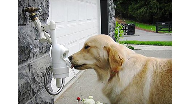 waterdog-automatic-pet-drinking-fountain