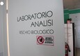 In italia 4mila casi l'anno di malattie tropicali (ANSA)