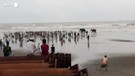 Bangladesh, due elefanti salvati dal mare (ANSA)
