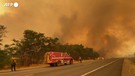 Infuria il Dixie Fire, l'incendio piu' grande nella storia della California (ANSA)