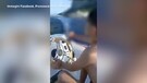 Un altro bambino alla guida di un motoscafo a Napoli: spunta il video(ANSA)