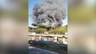 Roma, incendio nella pineta di Castel Fusano (ANSA)