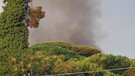 Incendio Castel Fusano, l'intervento dei Canadair dei Vigili del fuoco (ANSA)
