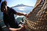 Ok Ue a 70 milioni di aiuti della Campania all'agri-pesca (ANSA)