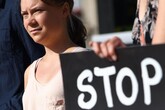 Greta Thunberg domani protesta al Pe, 'sostenga legge su natura' (ANSA)