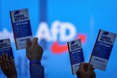 L'Afd vuole entrare nel partito Id in Europa (ANSA)