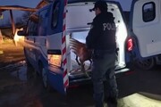 Immigrazione clandestina, arresti e perquisizioni in tutta Italia