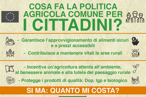 INFOGRAFICA - Politica agricola comune e cittadini (ANSA)
