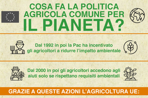INFOGRAFICA - Cosa fa la politica agricola Ue per il pianeta? (ANSA)