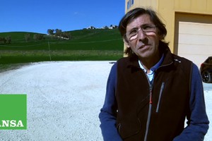 L'agricoltore di febbraio. Alberto Agosta, dal grano alla pasta a Feudo Mondello (ANSA)
