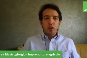 L'agricoltore di aprile. Andrea Mastrogiorgio, dal campo alla tavola in Molise durante il coronavirus (ANSA)