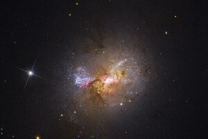 Il buco nero della galassia nana Henize 2-10 alimenta la nascita delle stelle (fonte: NASA, ESA, Zachary Schutte/XGI), Amy Reines/XGI, Alyssa Pagan/STScI) (ANSA)