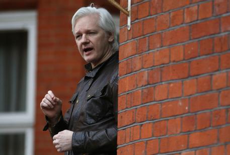 Julian Assange © AFP