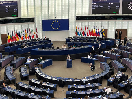 L'aula del Parlamento europeo a Strasburgo © ANSA