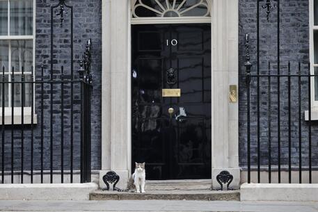 10 Downing Street © EPA