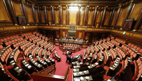 Aula del Senato (foto di archivio) (ANSA)