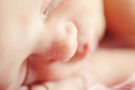 Il cervello dei neonati potrebbe essere in grado di fare esperienze coscienti (fonte: Pixabay)
