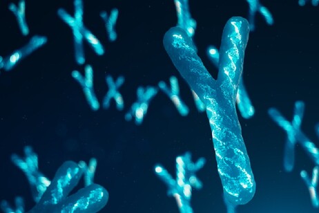 Rappresentazione artistica del cromosoma maschile Y (fonte: Usis da iStock)